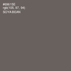 #69615E - Soya Bean Color Image
