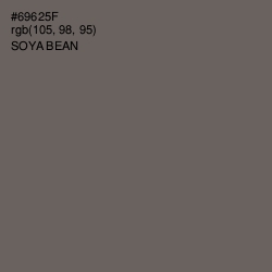 #69625F - Soya Bean Color Image