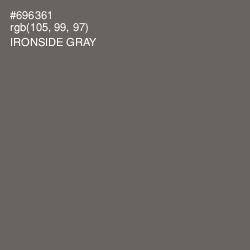 #696361 - Ironside Gray Color Image