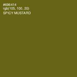 #696414 - Spicy Mustard Color Image