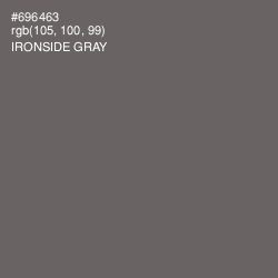 #696463 - Ironside Gray Color Image