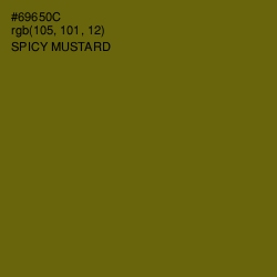 #69650C - Spicy Mustard Color Image