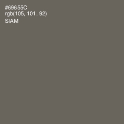 #69655C - Siam Color Image