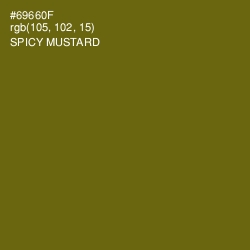 #69660F - Spicy Mustard Color Image