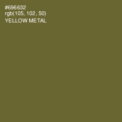 #696632 - Yellow Metal Color Image