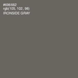 #696662 - Ironside Gray Color Image