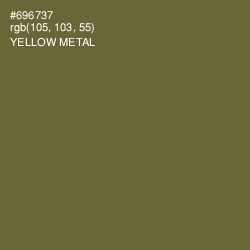 #696737 - Yellow Metal Color Image