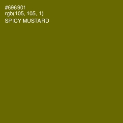 #696901 - Spicy Mustard Color Image
