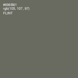 #696B61 - Flint Color Image