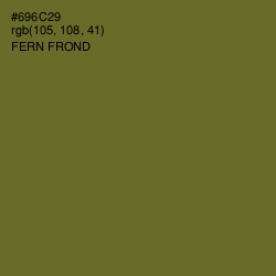 #696C29 - Fern Frond Color Image