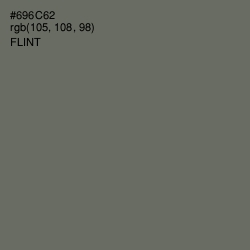 #696C62 - Flint Color Image