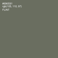 #696E61 - Flint Color Image