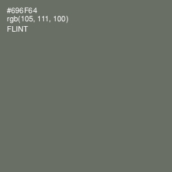 #696F64 - Flint Color Image