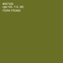 #697026 - Fern Frond Color Image