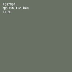 #697064 - Flint Color Image