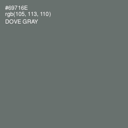 #69716E - Dove Gray Color Image