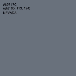 #69717C - Nevada Color Image