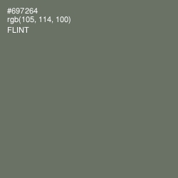 #697264 - Flint Color Image