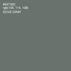 #69726C - Dove Gray Color Image