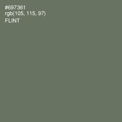 #697361 - Flint Color Image