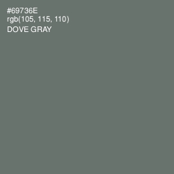 #69736E - Dove Gray Color Image