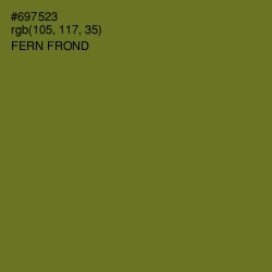 #697523 - Fern Frond Color Image