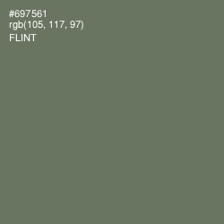 #697561 - Flint Color Image
