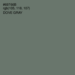 #69766B - Dove Gray Color Image