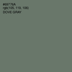 #69776A - Dove Gray Color Image