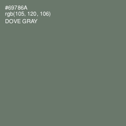 #69786A - Dove Gray Color Image