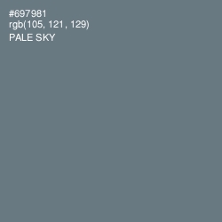 #697981 - Pale Sky Color Image