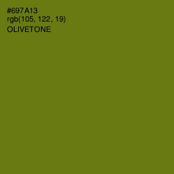 #697A13 - Olivetone Color Image