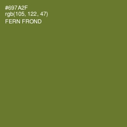 #697A2F - Fern Frond Color Image