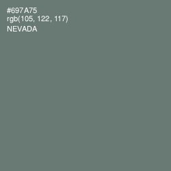 #697A75 - Nevada Color Image