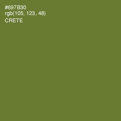 #697B30 - Crete Color Image