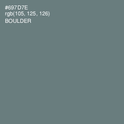 #697D7E - Boulder Color Image