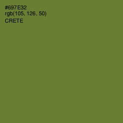 #697E32 - Crete Color Image