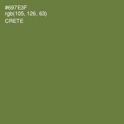 #697E3F - Crete Color Image