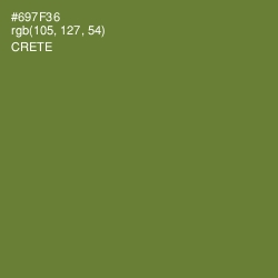 #697F36 - Crete Color Image