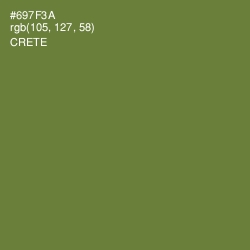 #697F3A - Crete Color Image