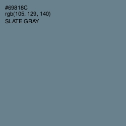 #69818C - Slate Gray Color Image