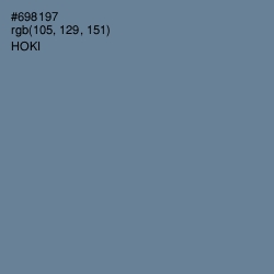 #698197 - Hoki Color Image