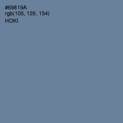 #69819A - Hoki Color Image