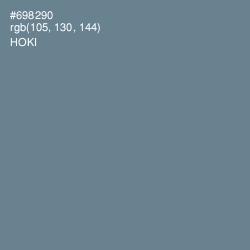 #698290 - Hoki Color Image