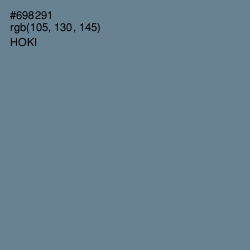 #698291 - Hoki Color Image