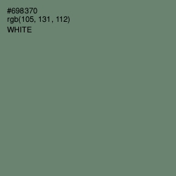 #698370 - Viridian Green Color Image