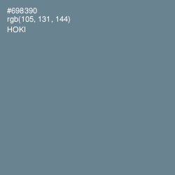 #698390 - Hoki Color Image