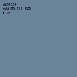 #698398 - Hoki Color Image