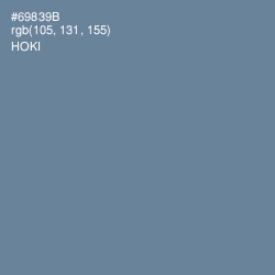 #69839B - Hoki Color Image