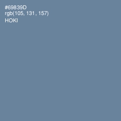 #69839D - Hoki Color Image